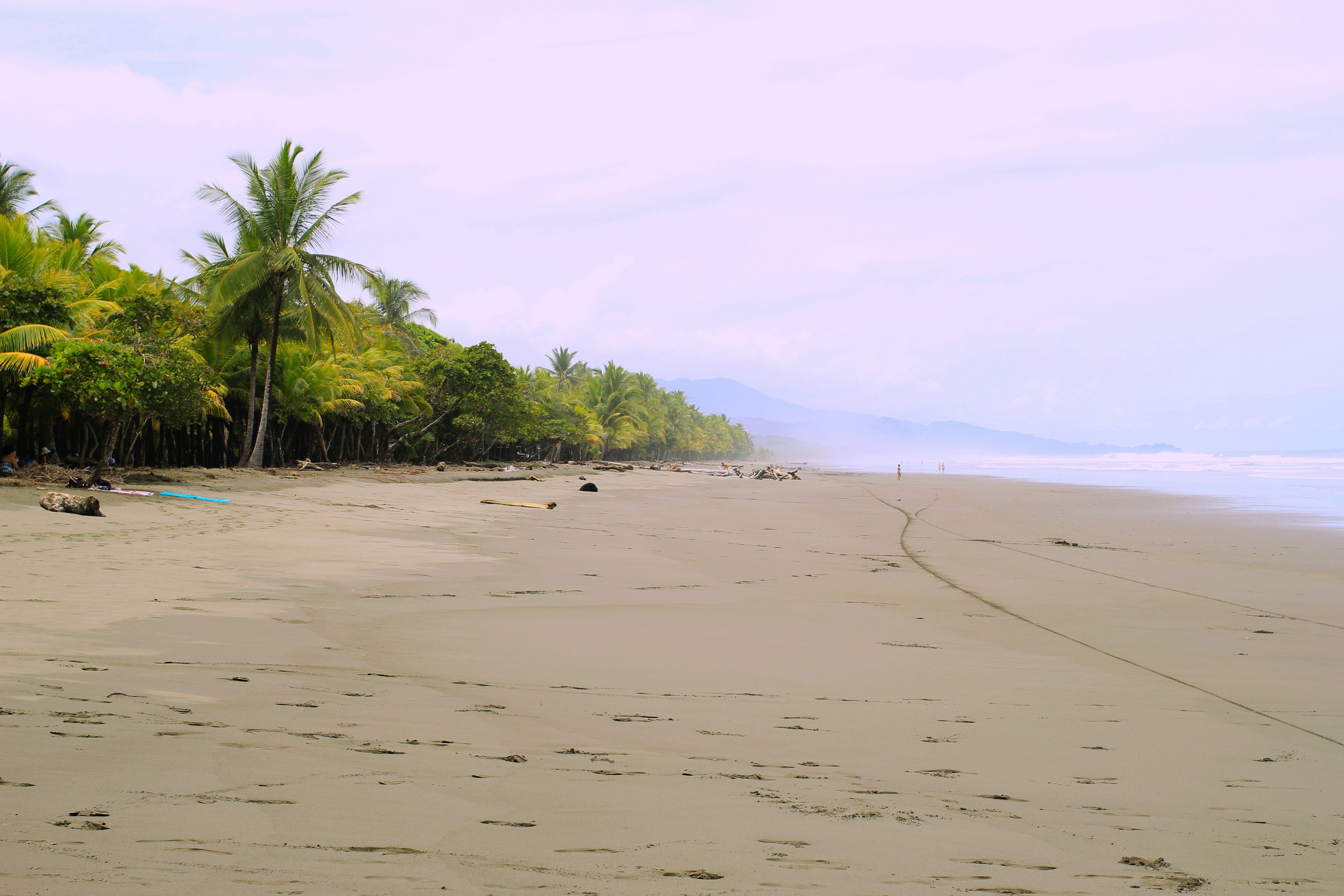 Welcome to Salt Water Journeys - the beginning of something new